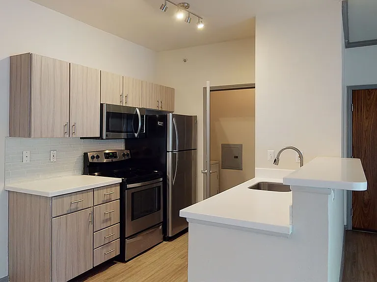 Apartment kitchen with stainless steel appliances, quartz countertops and wood-style flooring.