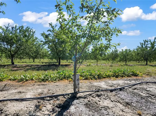 0 Buchanan Hollow Rd Lot 1, Le Grand, CA 95333
