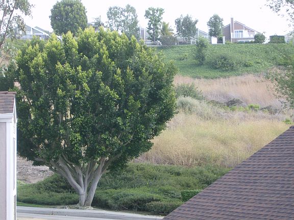 View from Living room