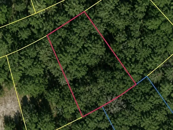 SE Fischer Lane Dr Lot 22, Ocklawaha, FL 32179