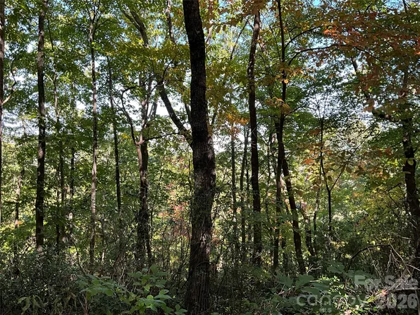 LOT 88 Bolt Rd, Lake Lure, NC 28746