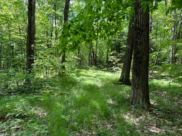 TBD Sunset Lake Road, Orwell, VT 05760
