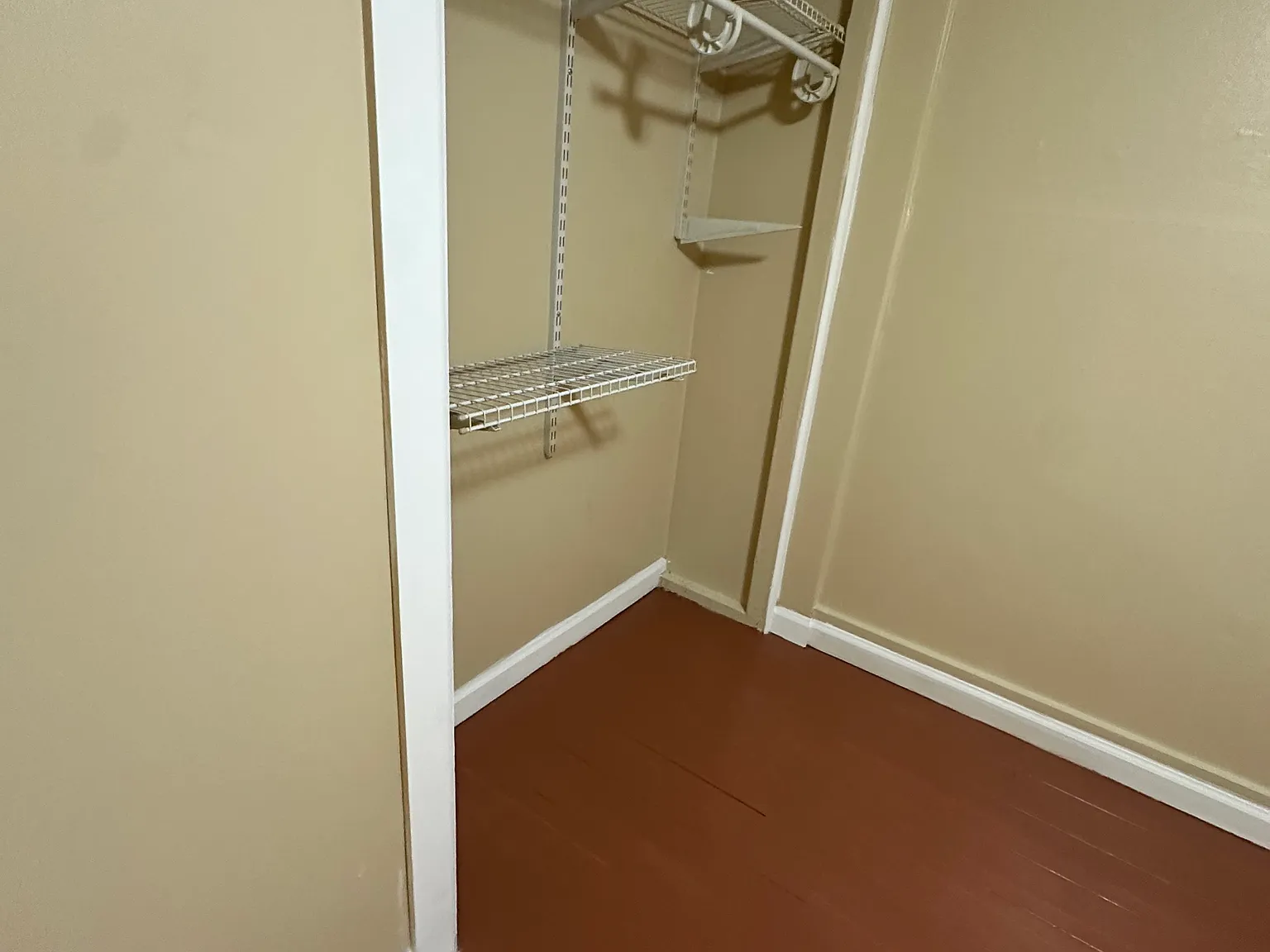1 bed, $1,100 — Photo 3
