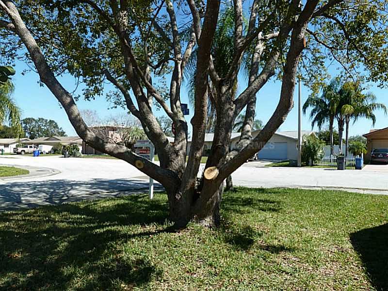 Front Yard
