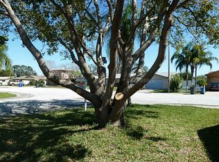 1801 Elmwood Dr, Oldsmar, FL 34677