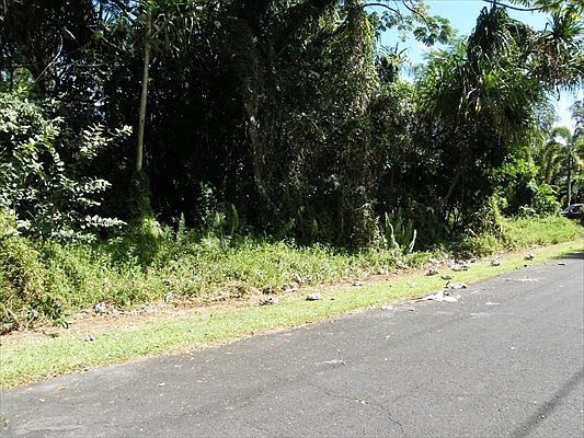 1st image of Manini St Lot 1165