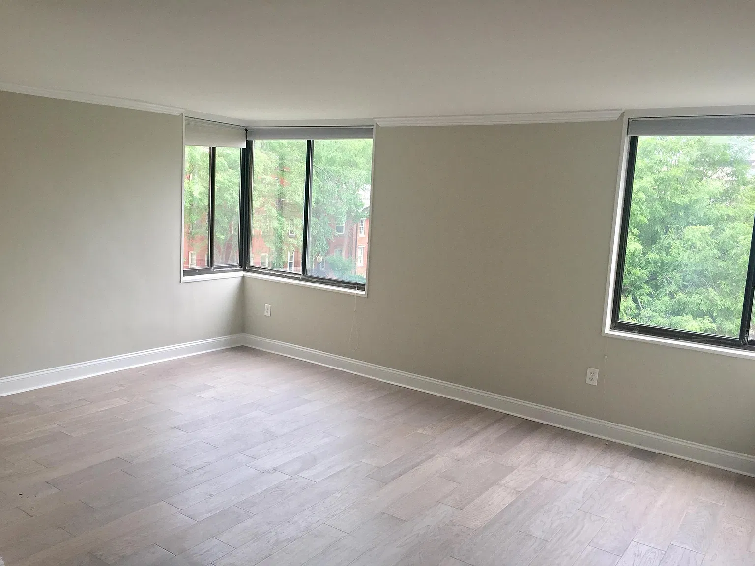 Studio, 505 sqft, $2,000 — Photo 1
