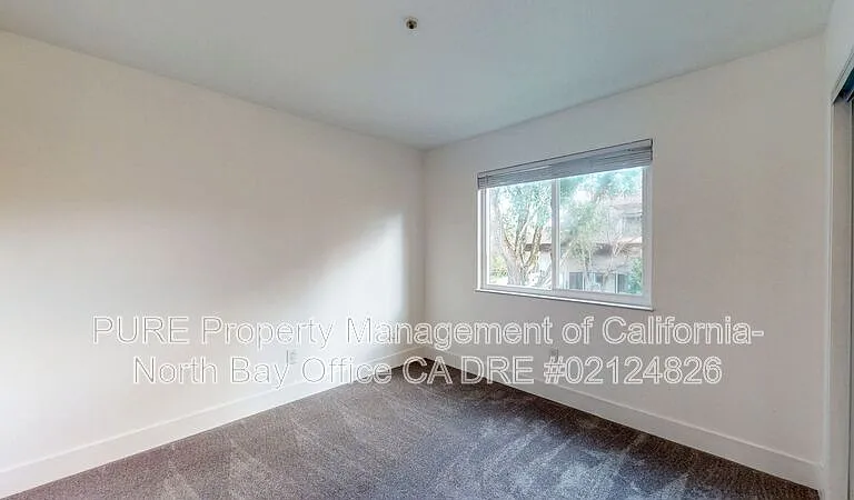 150 Brush Creek Rd — Photo 19