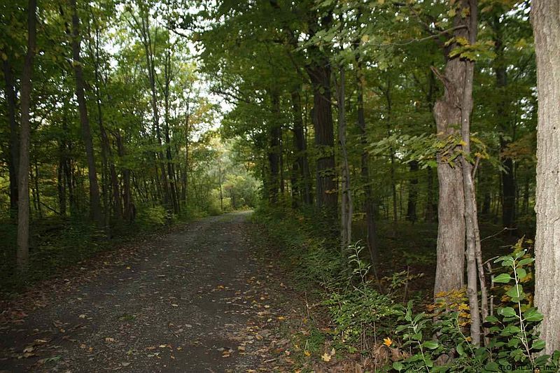 3rd image of SNAKE HILL Road