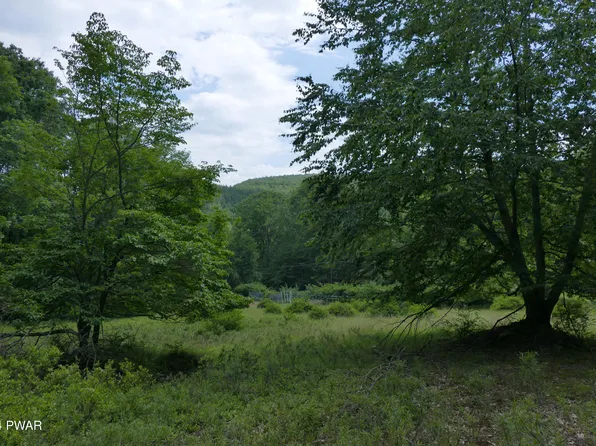 26 Riverview Dr, Lackawaxen, PA 18435