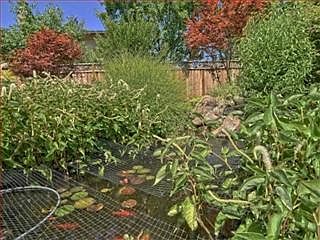 4th image of 18709 Casa Blanca Ln