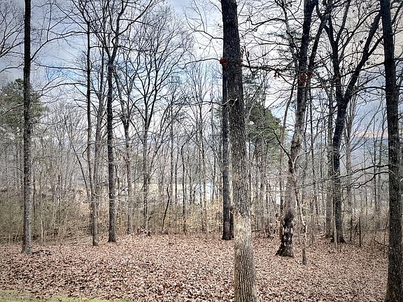 4th image of 112 Creeks Bend Dr