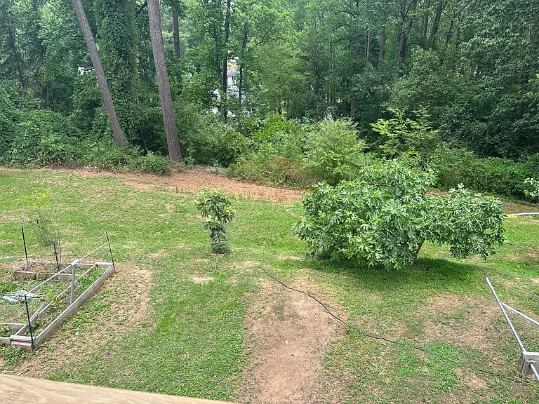 1633 Pineview Dr — Photo 3