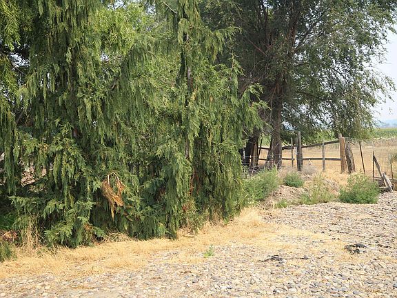 3rd image of Jump Creek Rd