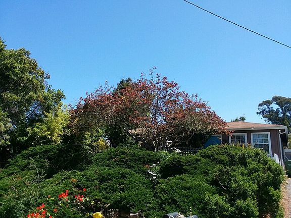 4th image of 828 Seacliff Dr