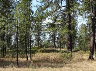 Xx N Bridges Rd #P-49113.9026, Elk, WA 99009