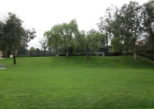 27542 Dandelion Ct — Photo 22