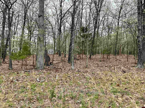 1025 County Road 478, Clarkridge, AR 72623