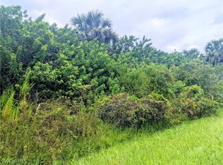 Shady Hollow Blvd W, Naples, FL 34120