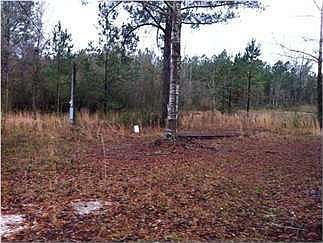 1st image of 94 Murphy Park Dr