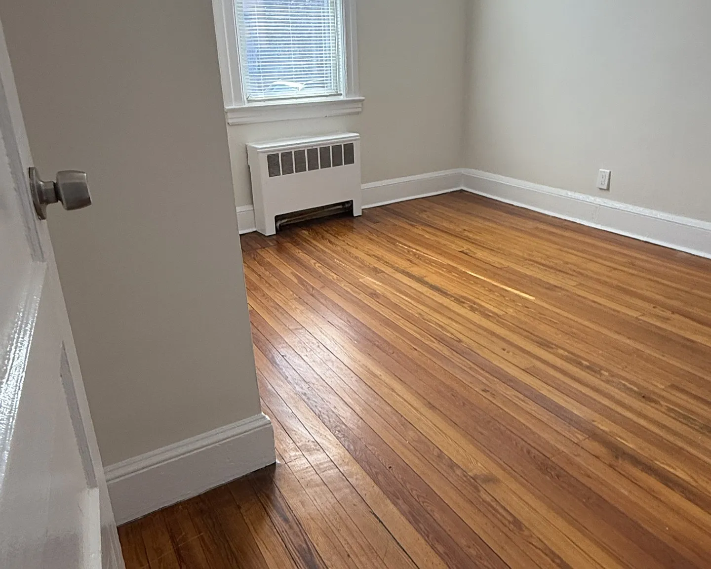 81 Wallace, 39 Maynard - Tuckahoe: - Storage #1 — Photo 3