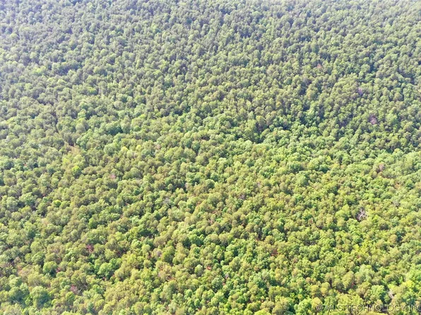 NE 1060th Ave, Panola, OK 74559