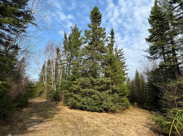 Rocky Top Trl, Hovland, MN 55606