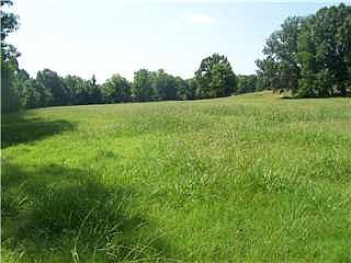 2nd image of 0 Horn Lake Road