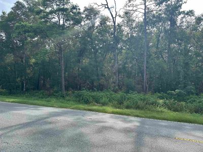0 Spring Creek Hwy, Crawfordville, FL, 32327