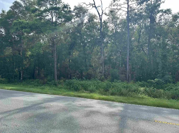 0 Spring Creek Hwy, Crawfordville, FL 32327