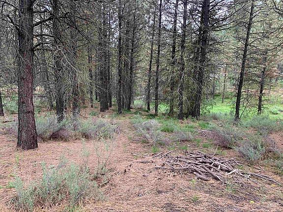 2nd image of 31 S Meadow Creek Dr