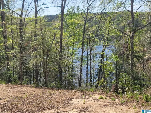 458 County Road 4036 #0, Arley, AL 35541