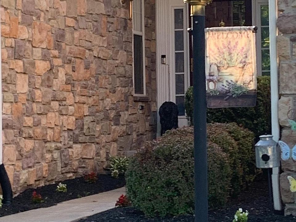 16521 Sparkling Brook Loop, Dumfries, VA 22025 Zillow