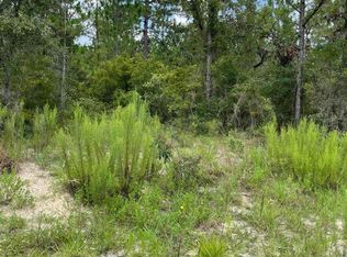 0 Chicaric Rd, Brooksville, FL 34614