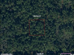 1413 Wild Rose St, Lake Placid, FL 33852