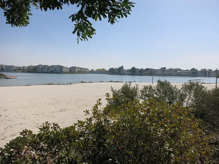 Beach area