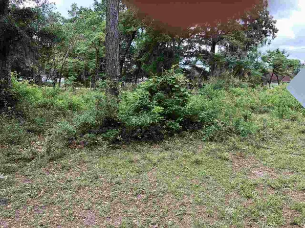 Xx Hickory Ave #4, Crawfordville, FL 32327