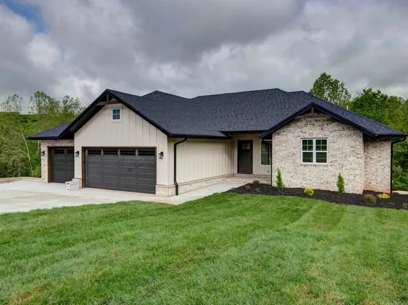 385 Plumtree Drive, Ozark, MO 65721