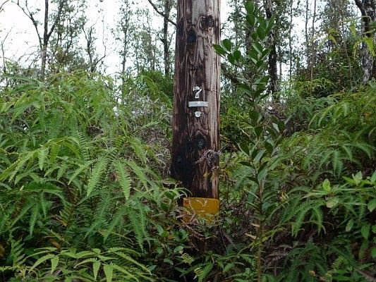 1st image of Kiele St Lot 16