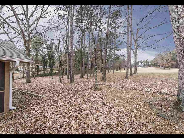 Back yard leading to golf course