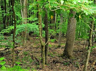 Red Fox Trl LOT 5, Boone, NC 28607