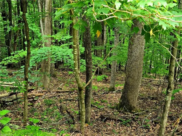 Red Fox Trl Lot 5, Boone, NC 28607