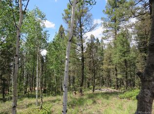 643 Pinewood Rd, Florissant, CO 80816