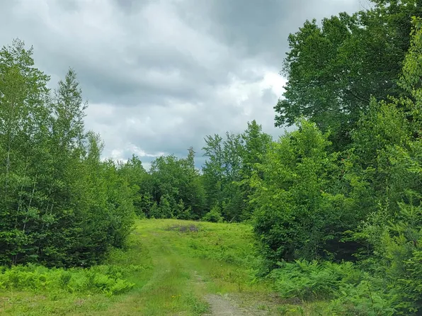 Lot 12.1 Gene's Road, Whitefield, NH 03598