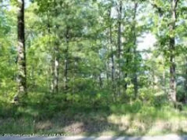 0 S Delta Pl, Idlewild, MI 49642