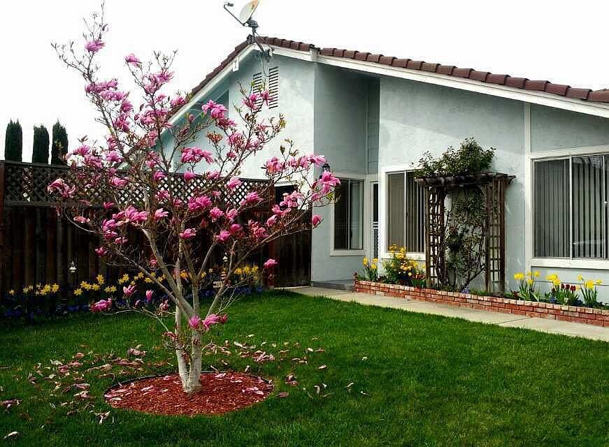 1st image of 4919 Montague Ave