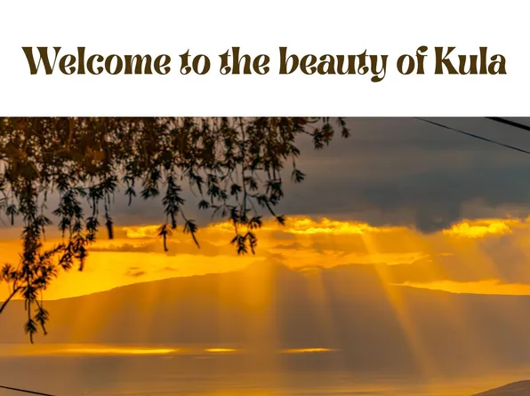 115 Alae Rd, Kula, HI 96790