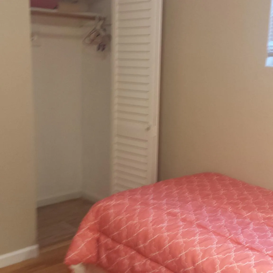 2 bed, 780 sqft, $4,800 — Photo 2