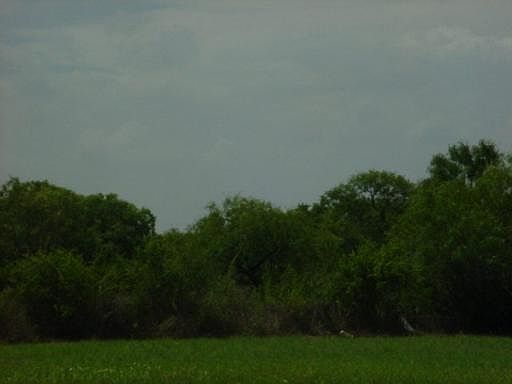 4th image of 910 W VILLARET BLVD