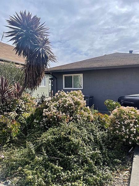 2nd image of 455 W Juana Ave